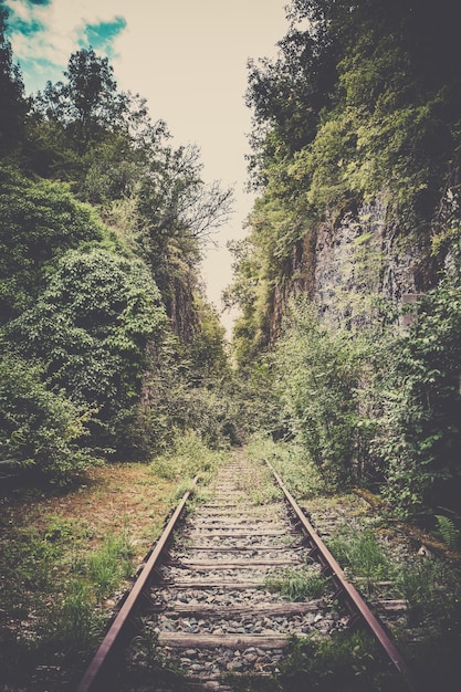 Photo vieux chemin de fer mystique dans une forêt tir filtré