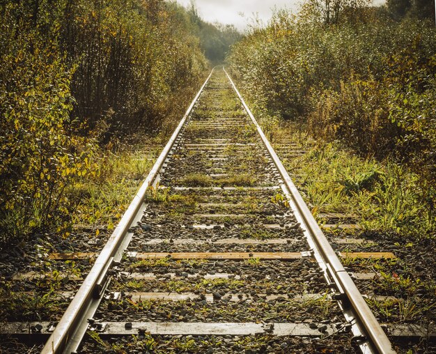 Le vieux chemin de fer rouillé abandonné s'en va