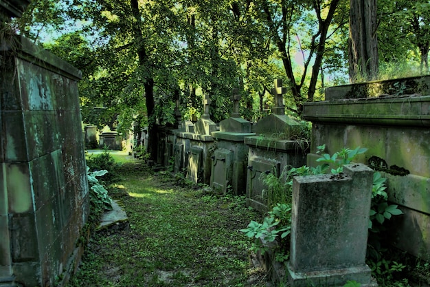 Vieux cimetière