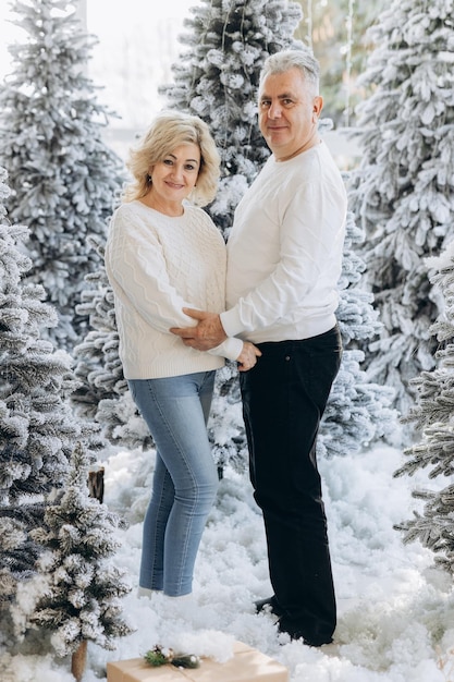 Vieux couple près de sapin de Noël