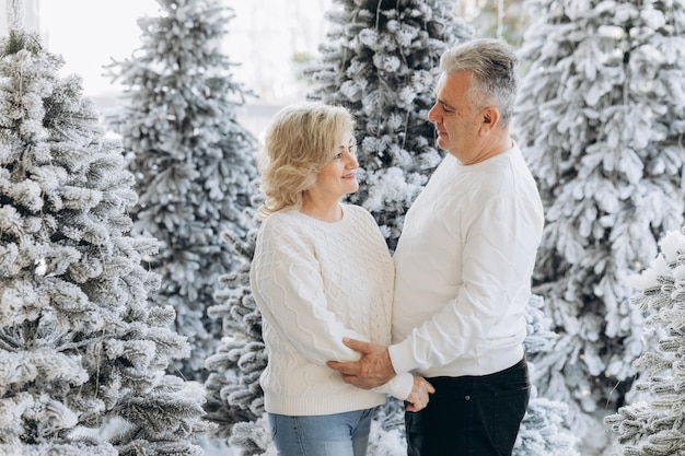 Vieux couple près de sapin de Noël