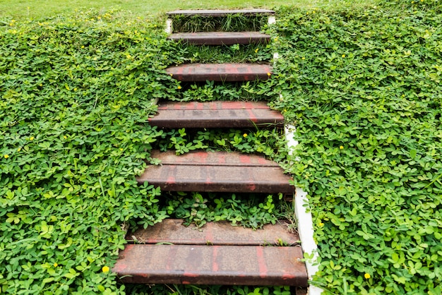 Vieux escaliers en acier sur fond de feuilles vertes