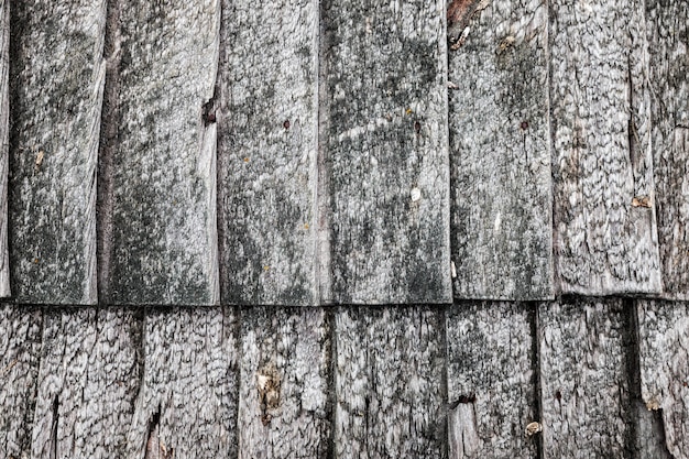 Vieux fond de bois