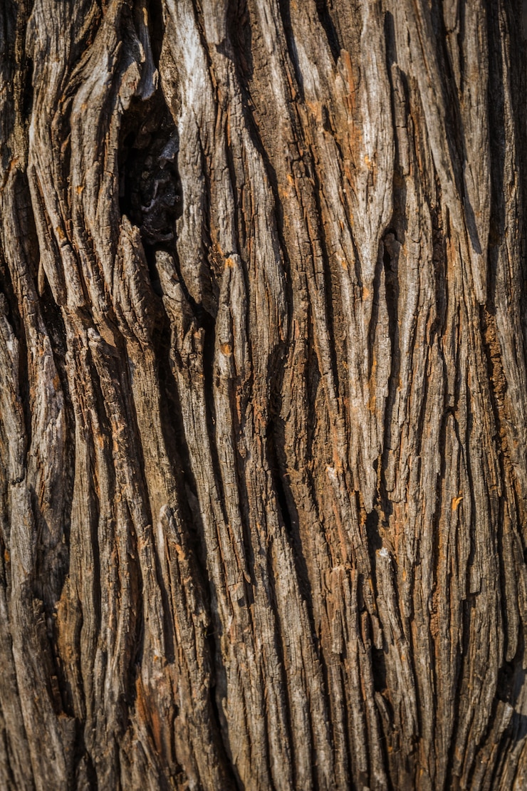 Photo vieux fond de bois