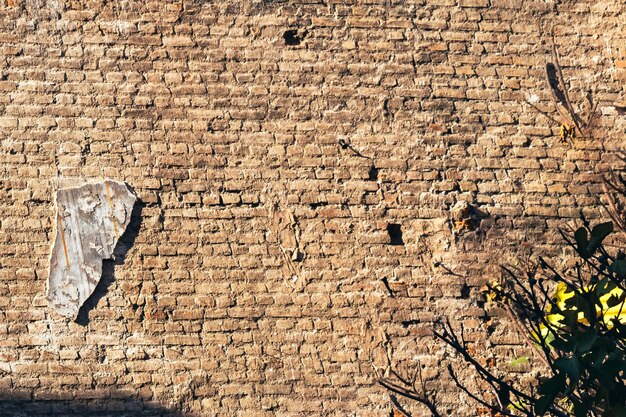 Vieux fond de mur de brique grunge