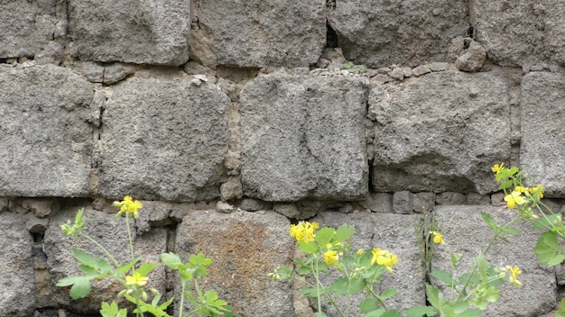 Photo vieux fond de mur de brique de mur de briques