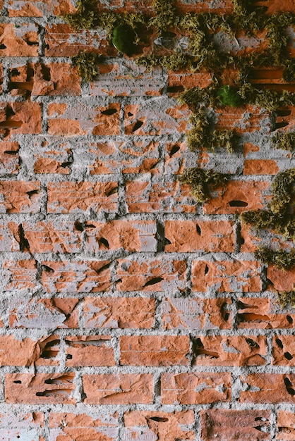 Vieux fond de mur de briques se bouchent