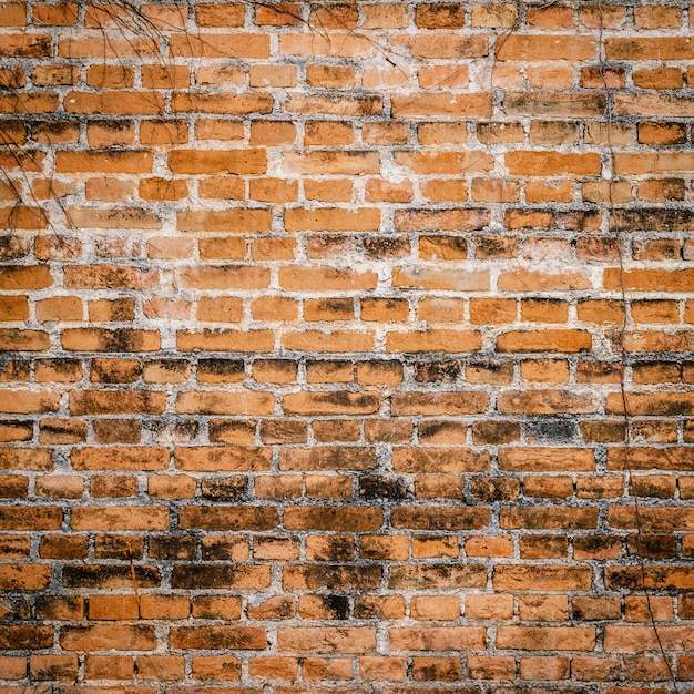 Vieux fond de mur de briques