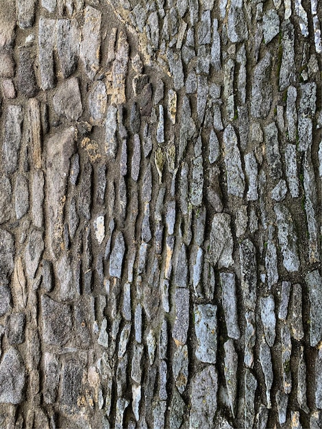 Vieux fond de mur en pierre