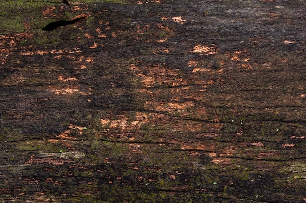 Vieux fond de planche de bois