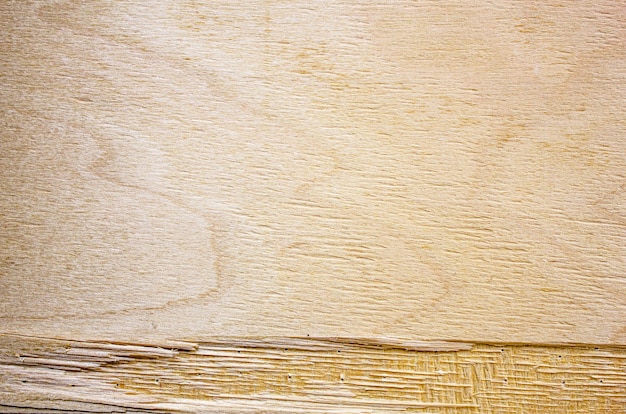 Vieux fond de texture naturelle en bois Vieux bouclier en bois avec une puce cassée