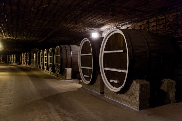 Vieux grands tonneaux de vin