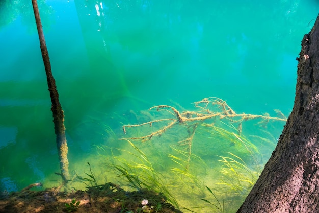 Un vieux hic énorme sort sous l'eau