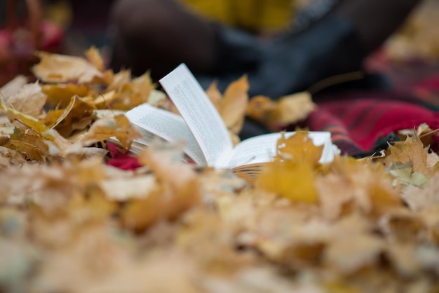 Un vieux livre est allongé sur un banc avec des feuilles tombées dans le parc d'automne