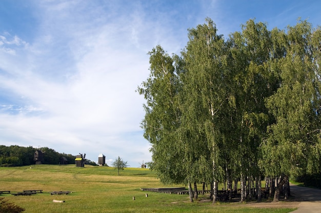 Vieux moulins à vent obsolètes au-delà de la plantation d'arbres sur terrain