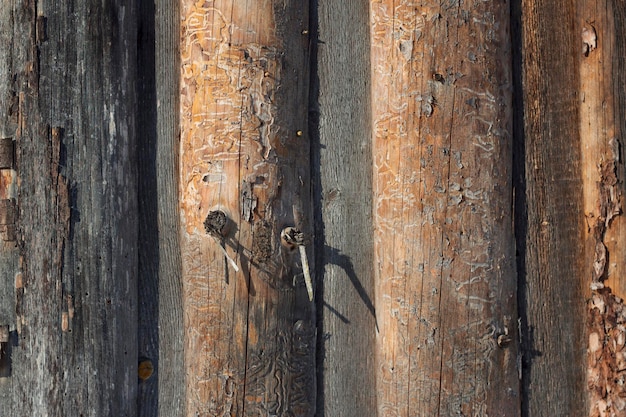 vieux mur en bois avec des planches verticales