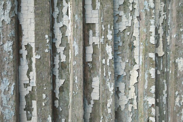 Vieux mur en bois texture peinture écaillée