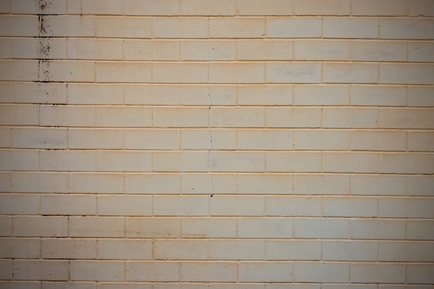 Photo vieux mur de briques blanches
