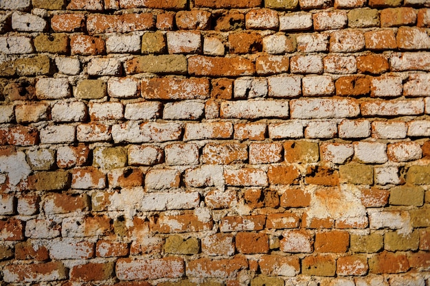 Vieux mur de briques