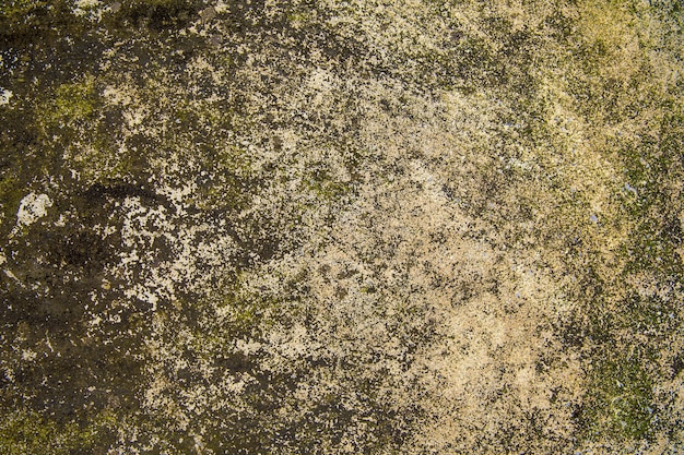 Vieux mur extérieur en ciment avec taches et moisissures.