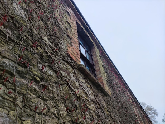 Vieux mur de maison celtique Château de Blarney en Irlande ancienne ancienne forteresse celtique