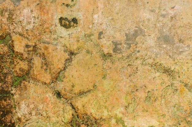 Vieux mur moussu fissuré et décollé de la texture de la peinture