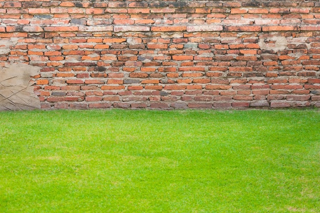 Vieux murs de briques texture et herbe verte pour le fond