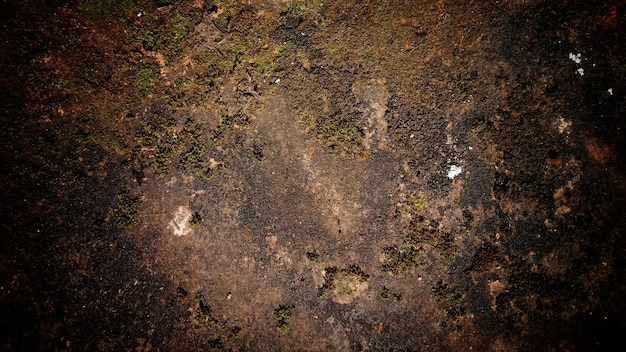 Vieux murs de fond de texture de mur sombre pleins de rayures et de mousse