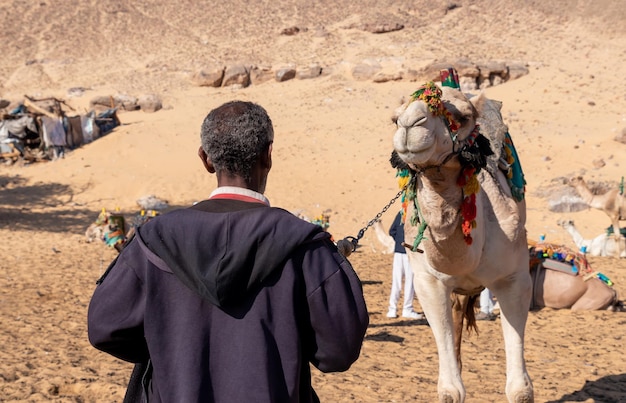 Vieux nubien arabe égyptien méconnaissable en arrière homme tirant un chameau dans le désert abus de cruauté envers les animaux concept de protection des animaux