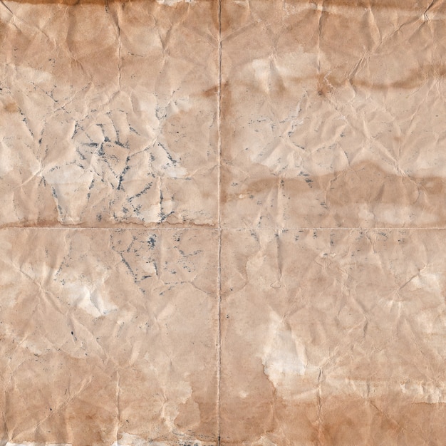 Vieux papier Papyrus Vintage Texture détaillée