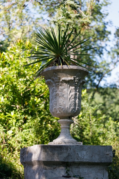 Vieux parterre de pierre en forme de vase dans le parc. photo de haute qualité