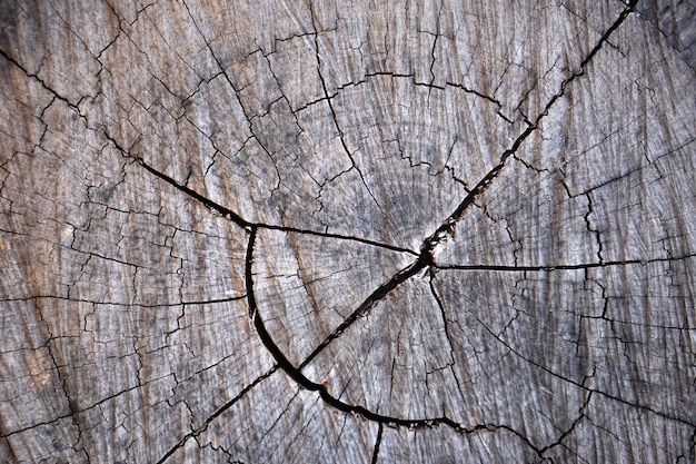 vieux plancher en bois a un beau motif