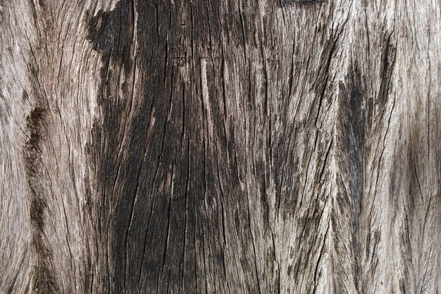 vieux plancher en bois a un beau motif