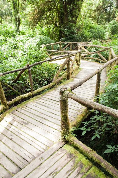 Vieux pont en bois