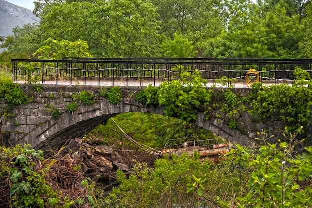 un vieux pont dans les bois