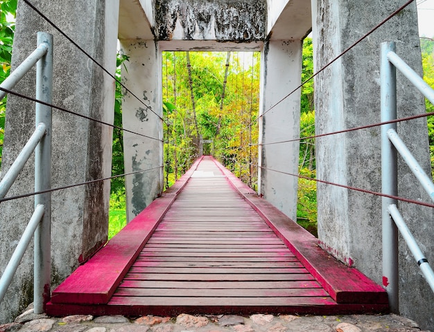 Vieux pont suspendu en bois Traverser la rivière à la forêt tropicale