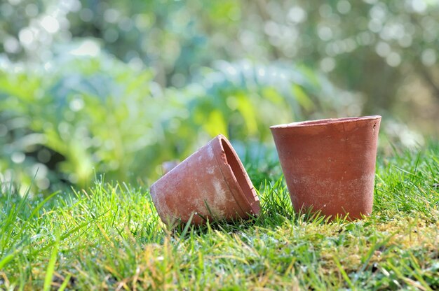 Vieux pots de fleurs en terre cuite mis sur l'herbe dans le jardin