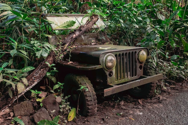 Vieux SUV militaire au zoo tropical