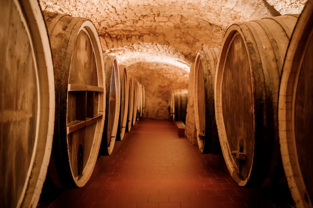 Vieux tonneaux en bois traditionnels avec du vin dans une voûte alignés dans une cave fraîche et sombre en Italie, Porto, Portugal, France