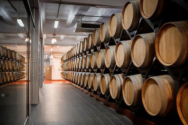 Vieux tonneaux en bois traditionnels avec du vin dans une voûte alignés dans une cave sombre et fraîche en Italie Porto Portugal France