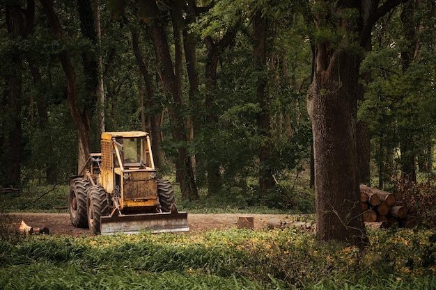 Vieux tracteur sur les travaux de déforestation forestière