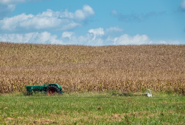 Vieux tracteur vert abandonné à côté d'un champ de maïs ou de blé