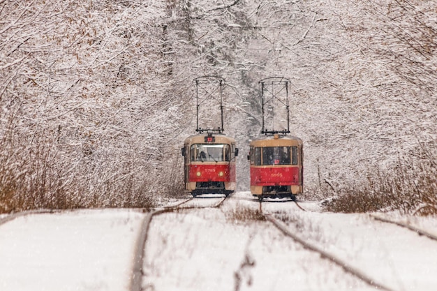 Un vieux tramway se déplaçant dans une forêt d'hiver