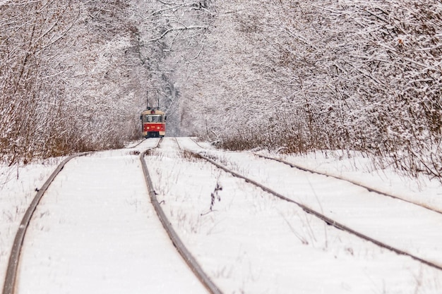 Un vieux tramway se déplaçant dans une forêt d'hiver