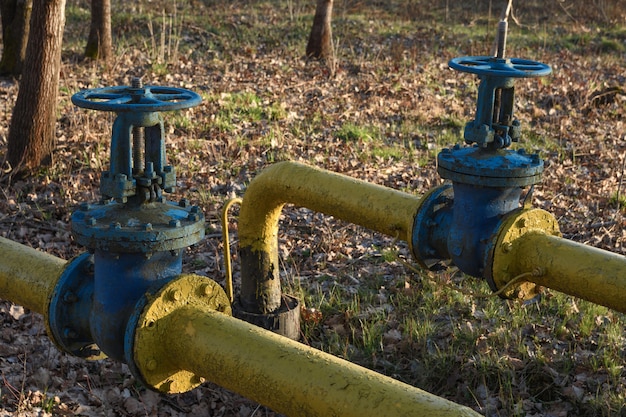 De vieux tuyaux de gaz avec de grands robinets qui se chevauchent sont posés sous terre dans la cour.