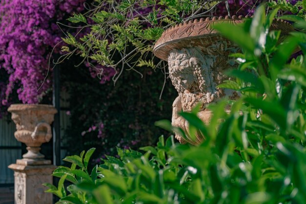 Vieux vase décoratif dans le jardin à côté du bambou