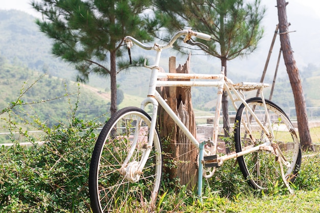 Vieux vélo garé sur la montagne