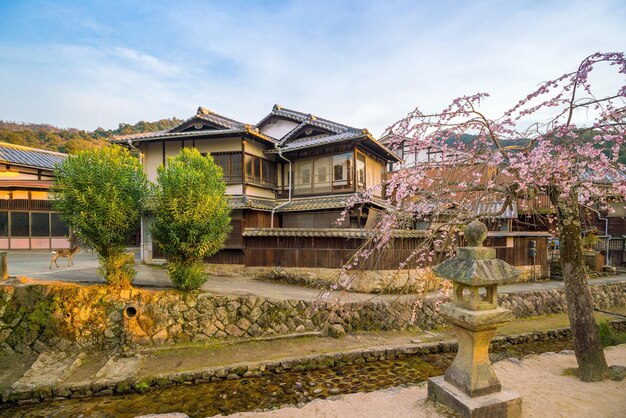 Photo vieux village avec sakura à miyajima