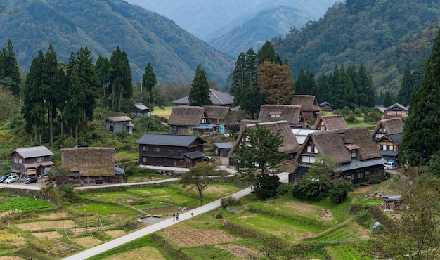 Vieux village traditionnel japonais à Shirakawago