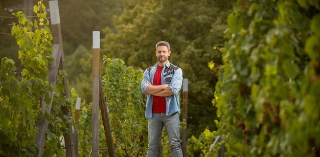 Vigneron confiant debout au vigneron de la ferme de la cave